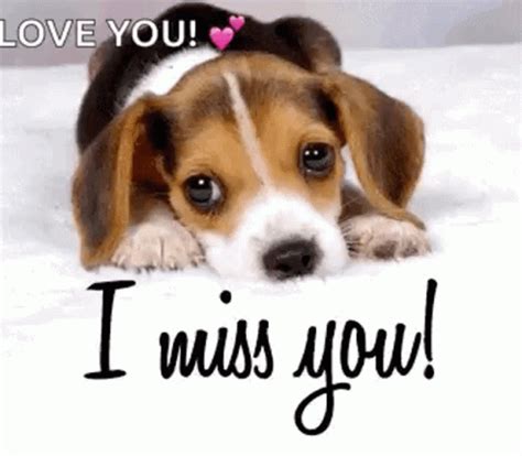 funny miss you gif|i miss you animated gif.